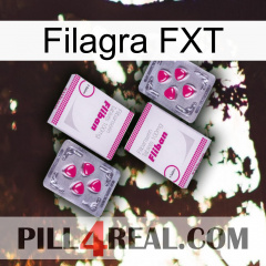 Filagra FXT 33
